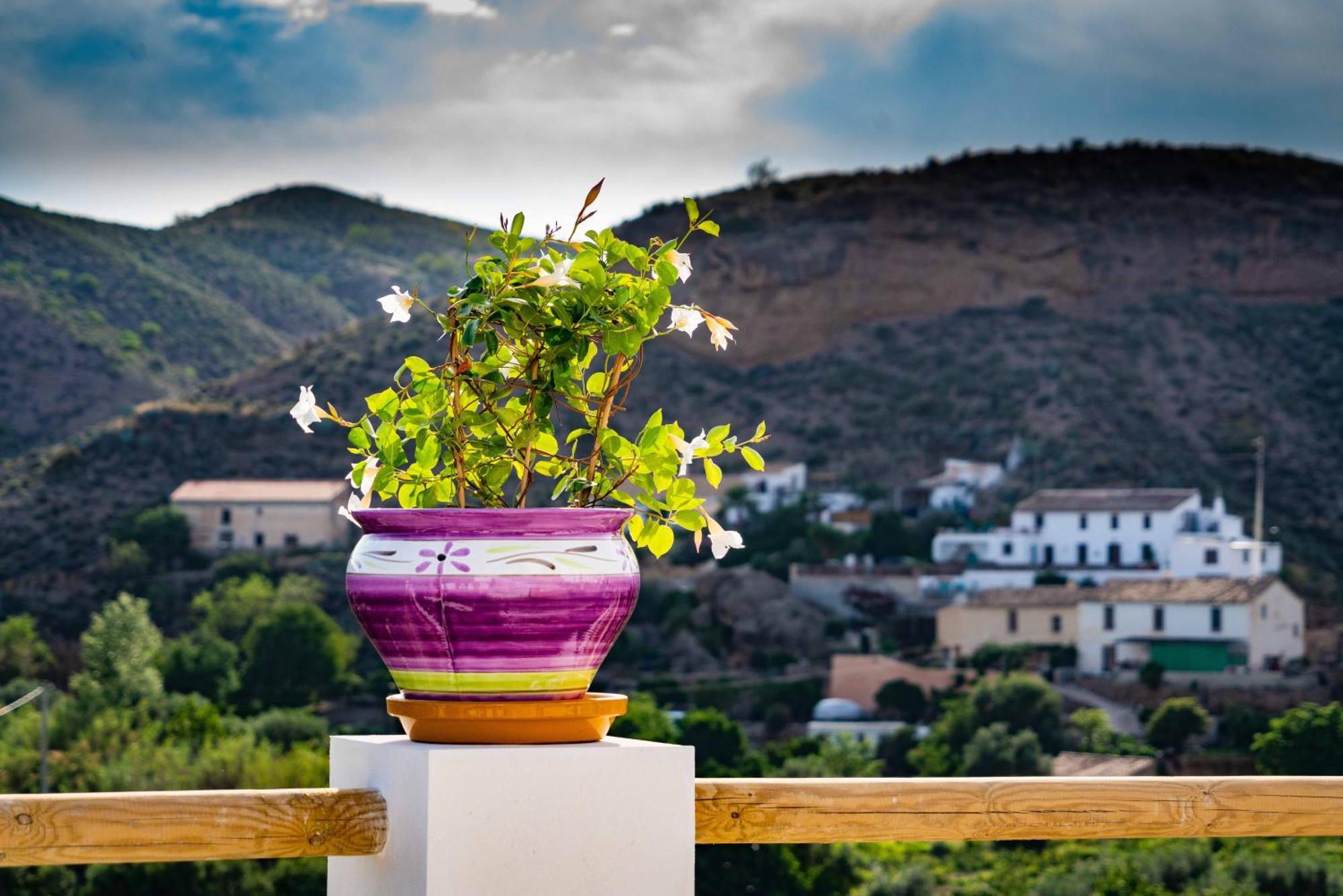Rambla Retreats Apartment Rojo With Shared Pool & Hot Tub Stunning Views In Oria Exteriér fotografie